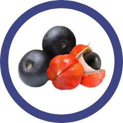 guarana